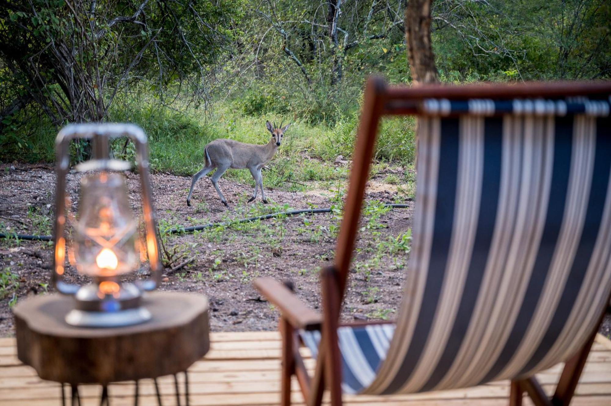 Bosveld Villa Marloth Park Buitenkant foto